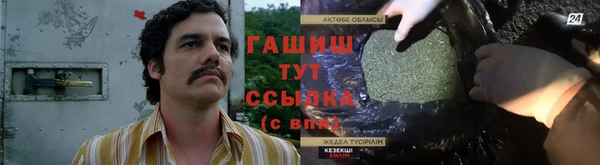 индика Приозерск
