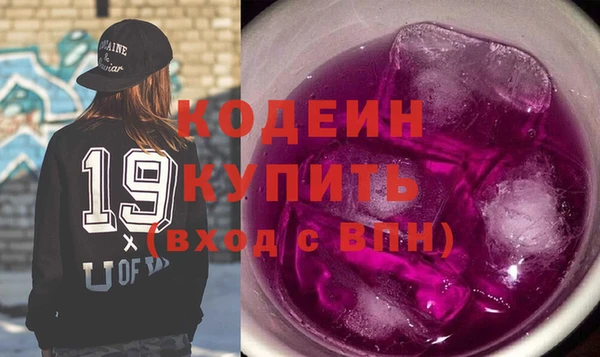 индика Приозерск